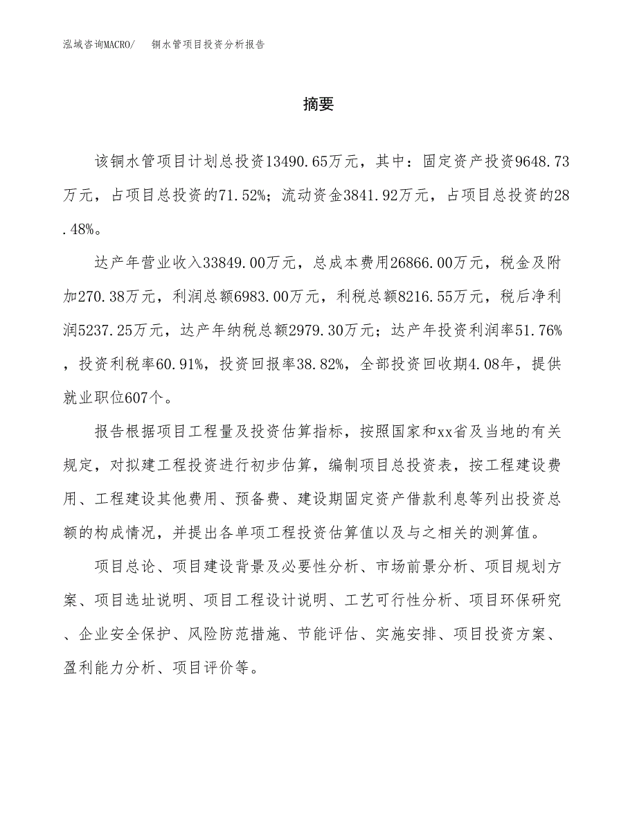 （模板）铜水管项目投资分析报告_第2页