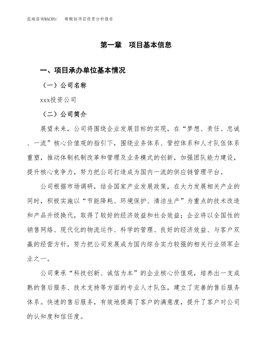 （模板）碳酸钴项目投资分析报告_第4页