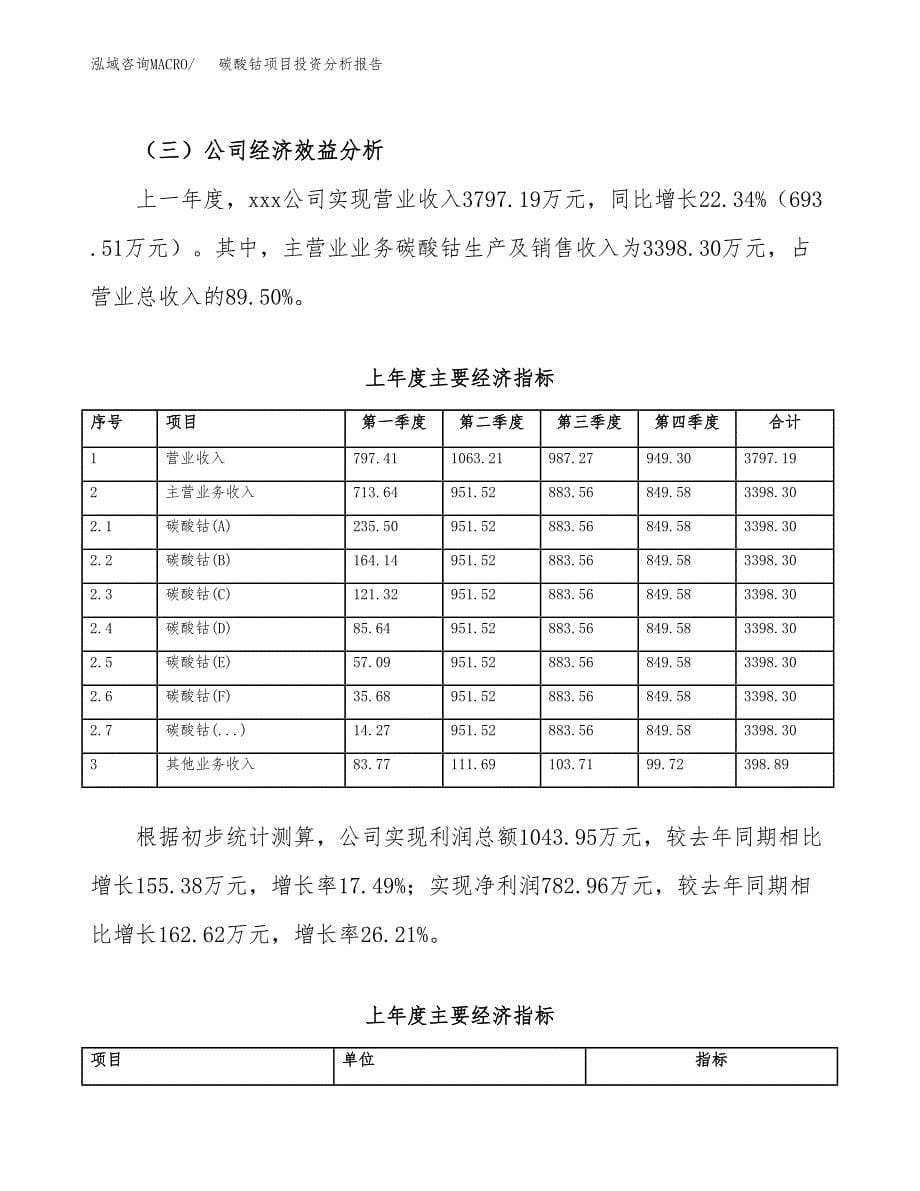 （模板）碳酸钴项目投资分析报告_第5页