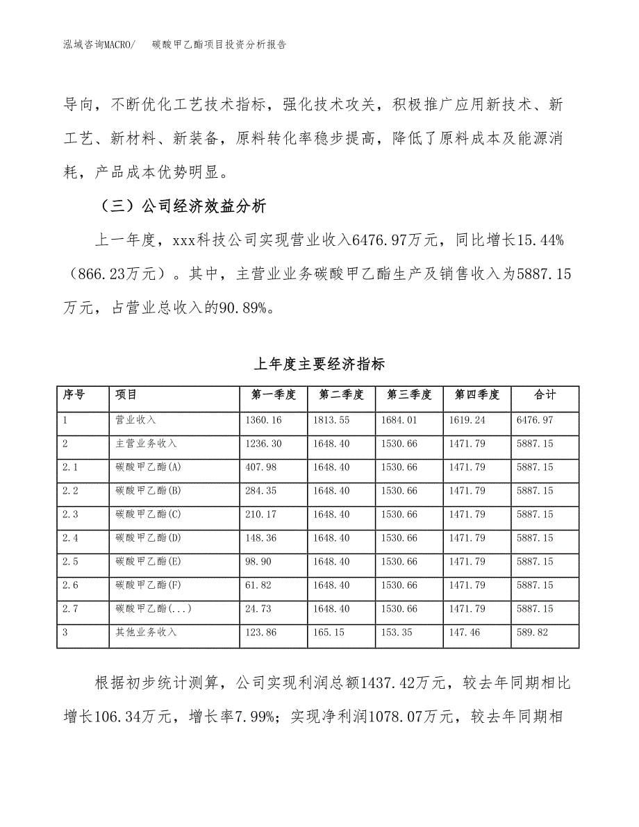 （模板）碳酸甲乙酯项目投资分析报告 (1)_第5页