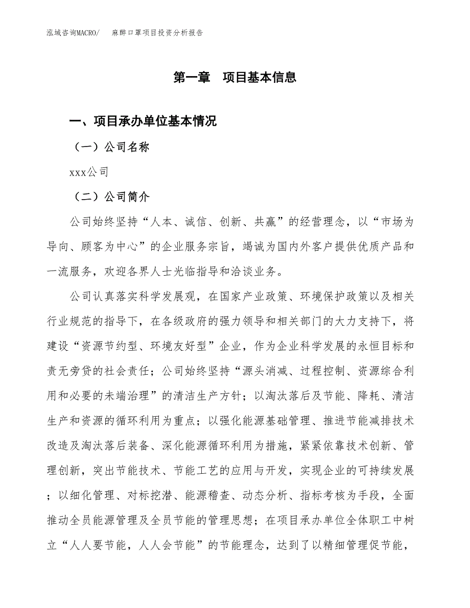 （模板）麻醉口罩项目投资分析报告_第4页