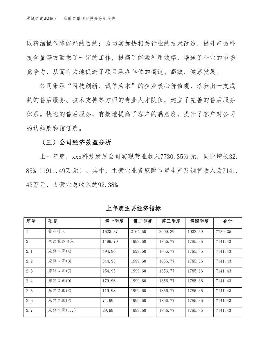 （模板）麻醉口罩项目投资分析报告_第5页