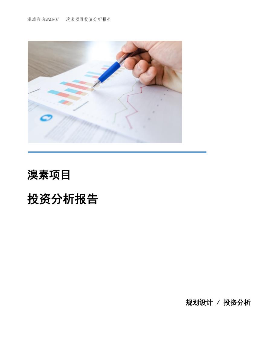 （模板）溴素项目投资分析报告_第1页