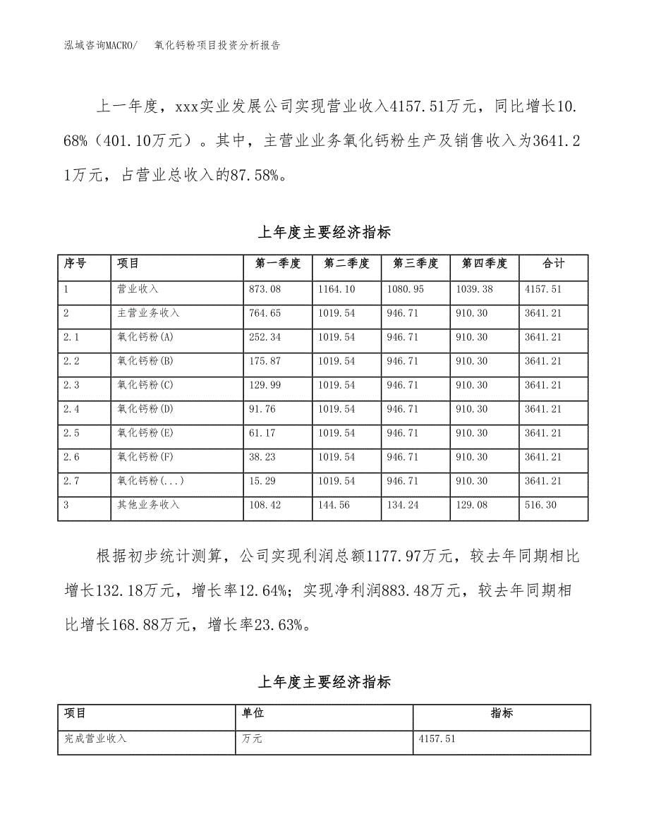 （模板）氧化钙粉项目投资分析报告_第5页