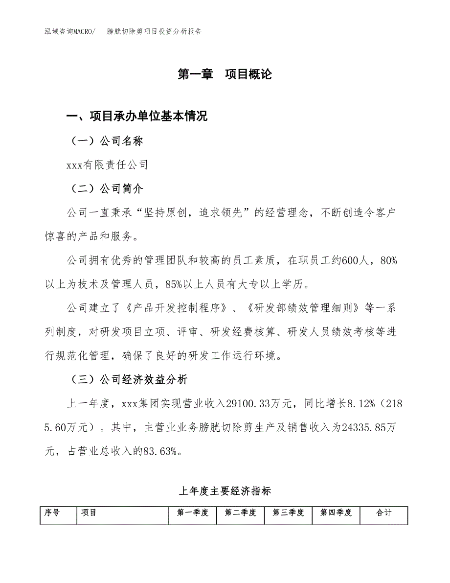 （模板）膀胱切除剪项目投资分析报告_第4页