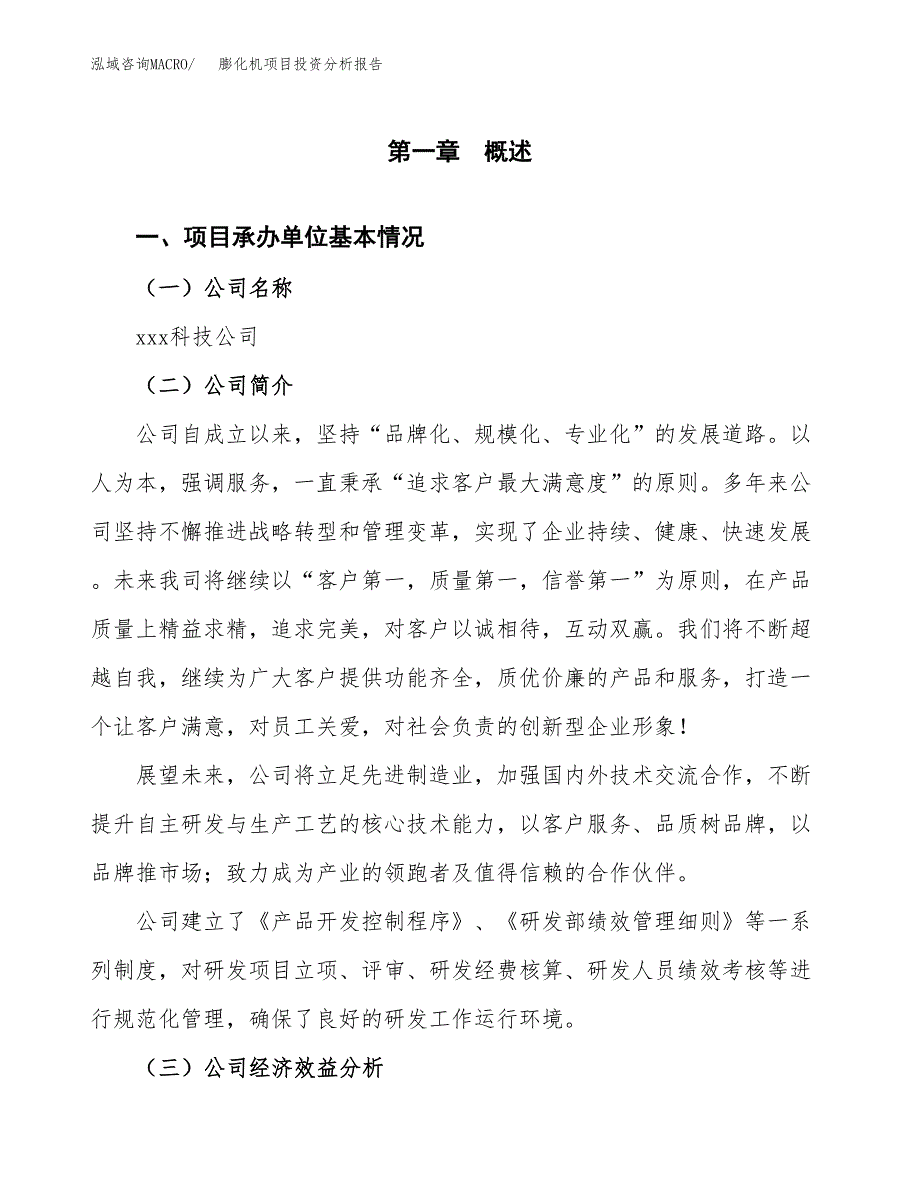 （模板）膨化机项目投资分析报告 (2)_第4页