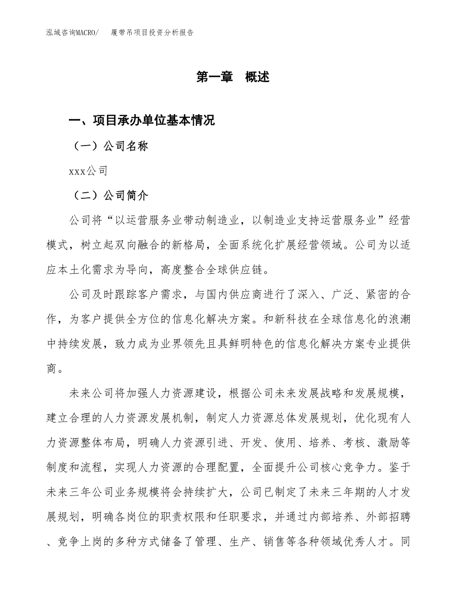 （模板）履带吊项目投资分析报告_第4页