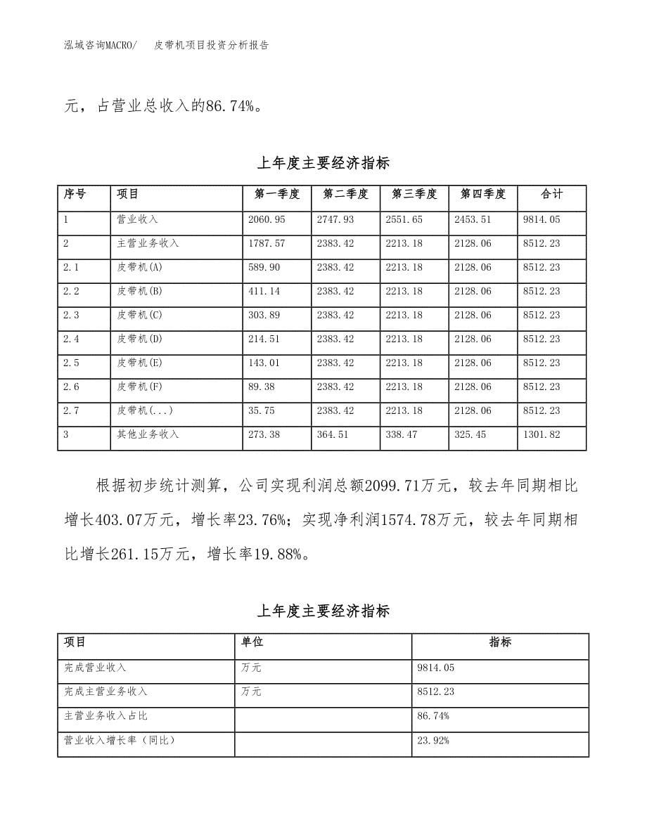 （模板）皮带机项目投资分析报告_第5页