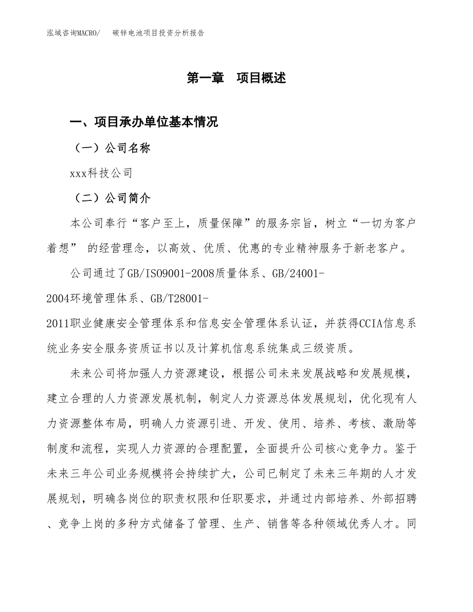 （模板）碳锌电池项目投资分析报告_第4页