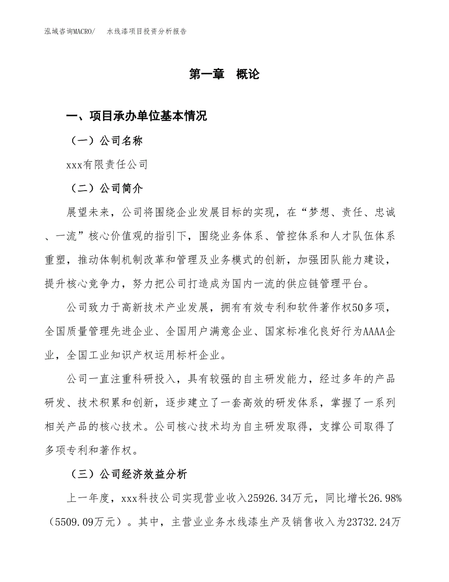 （模板）水线漆项目投资分析报告_第4页