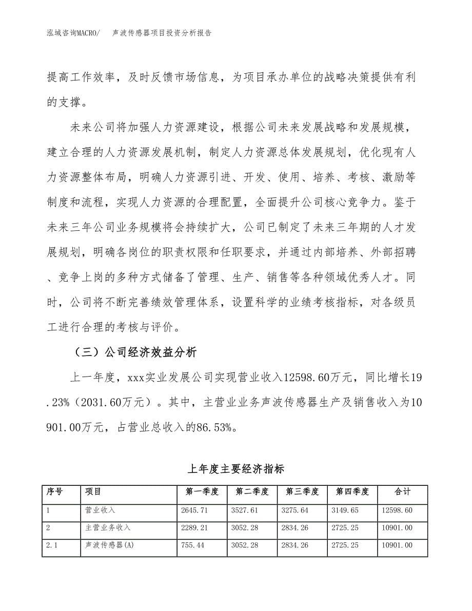 （模板）声波传感器项目投资分析报告_第5页