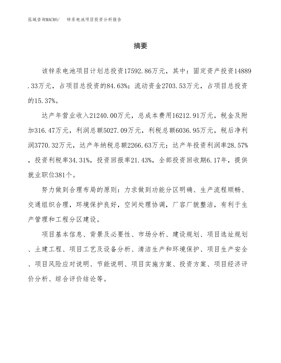 （模板）锌汞电池项目投资分析报告_第2页