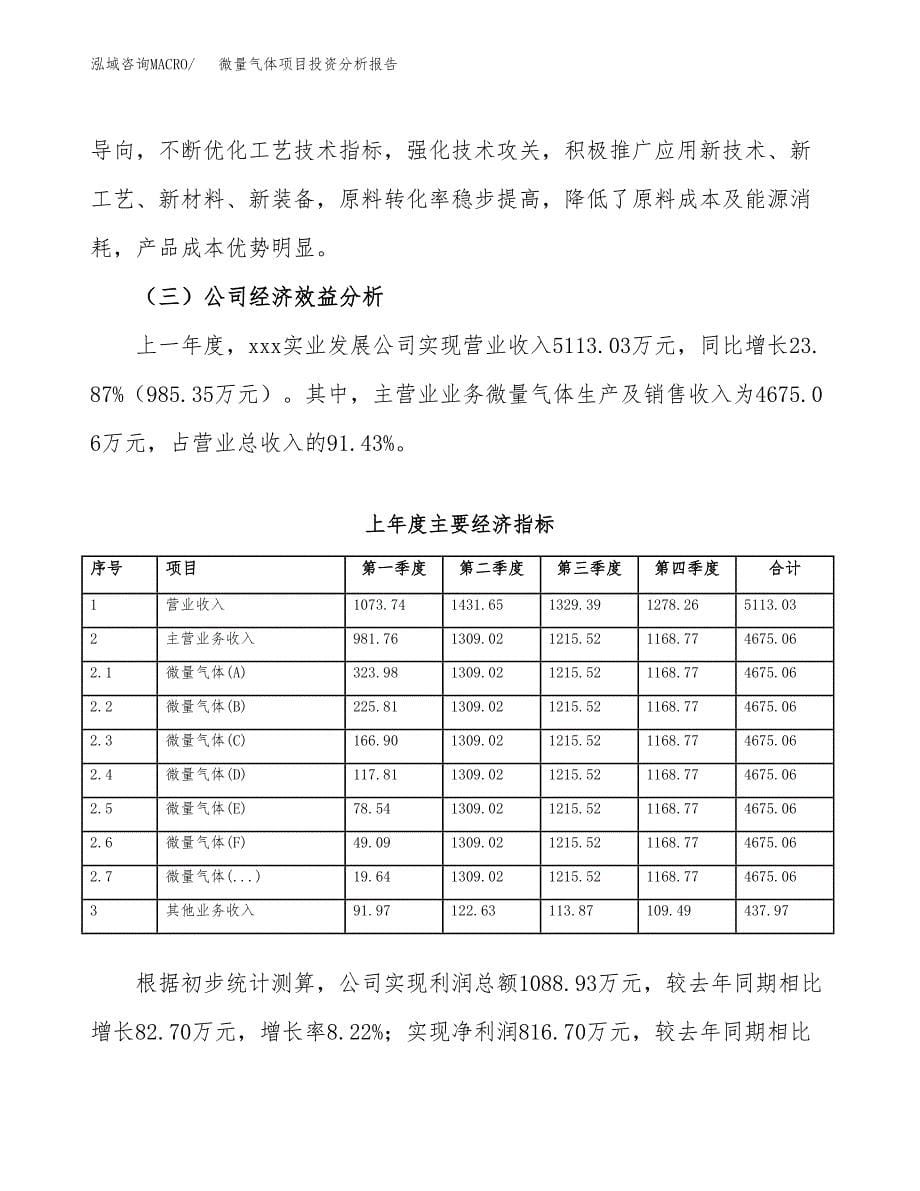 （模板）微量气体项目投资分析报告_第5页