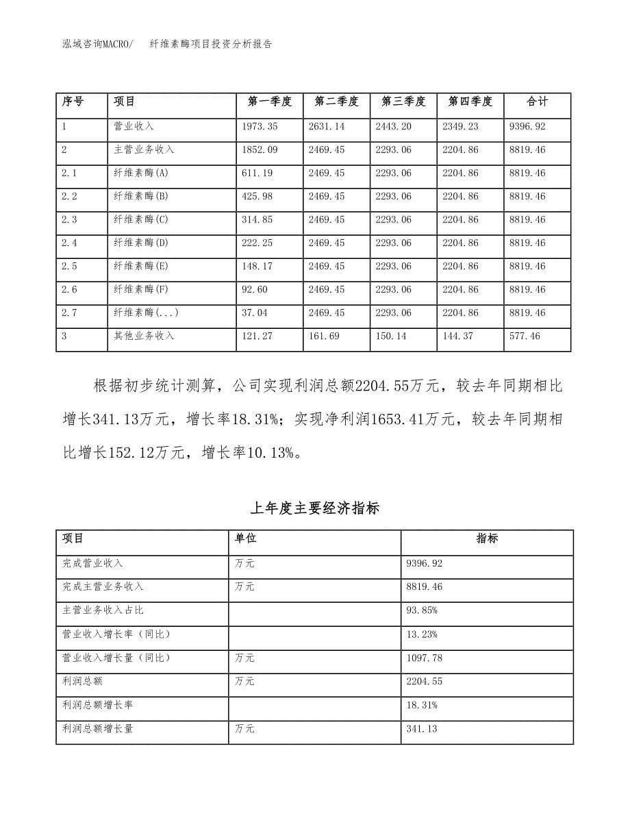 （模板）纤维素酶项目投资分析报告_第5页