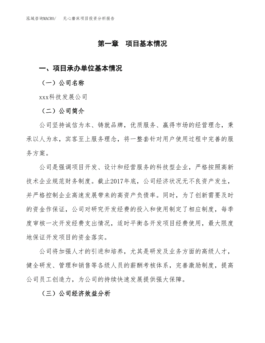 （模板）无心磨床项目投资分析报告_第4页