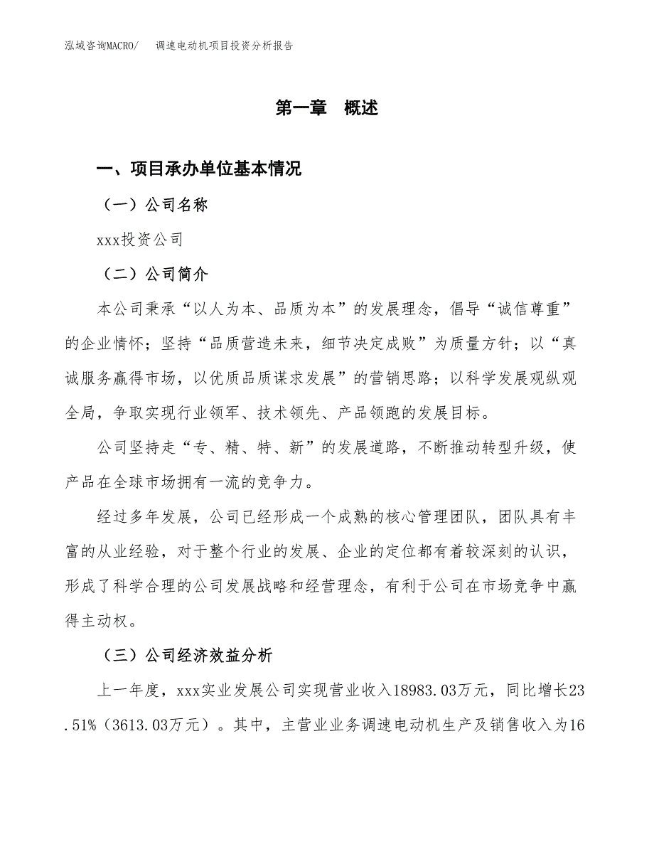 （模板）调速电动机项目投资分析报告_第4页