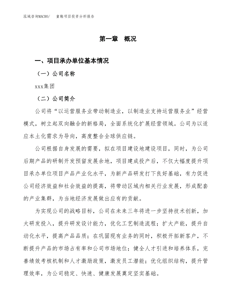 （模板）童鞋项目投资分析报告_第4页