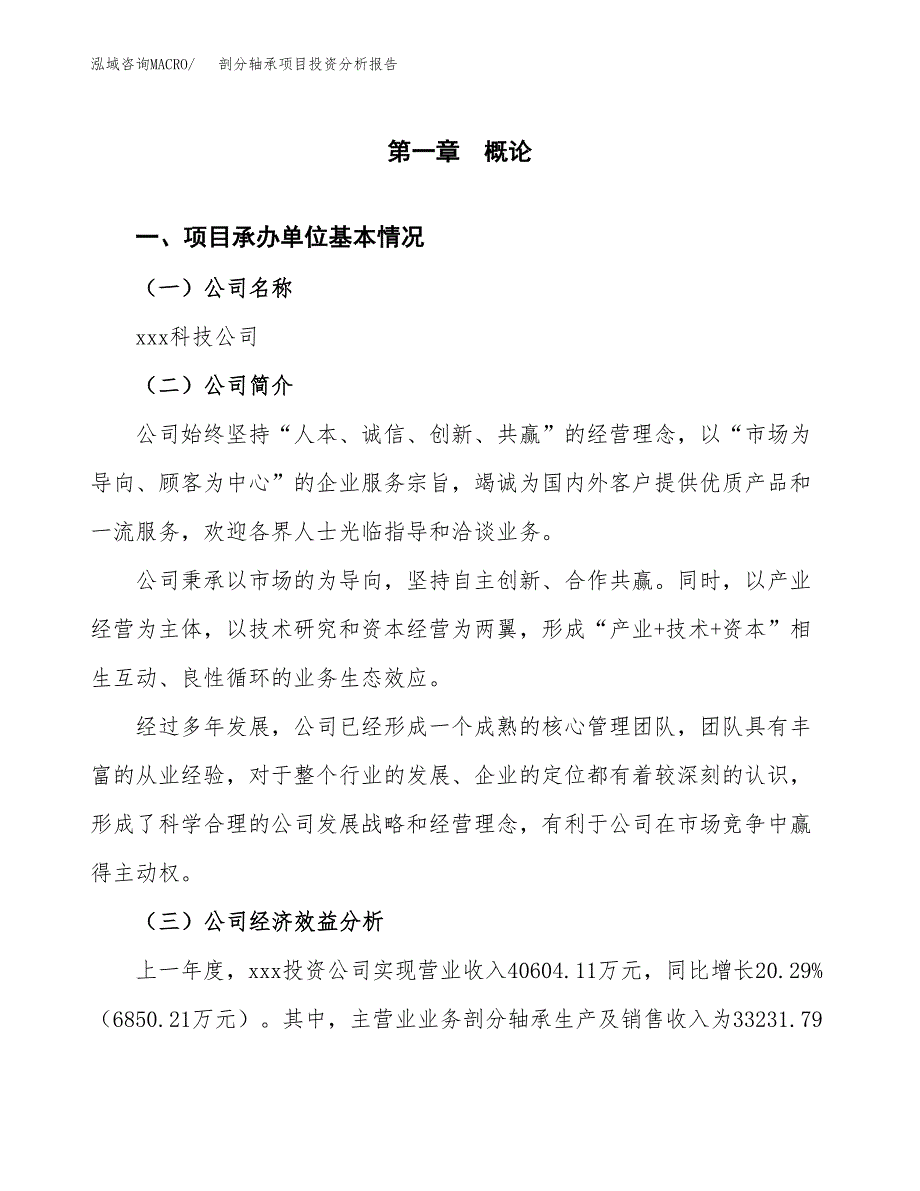 （模板）剖分轴承项目投资分析报告_第4页