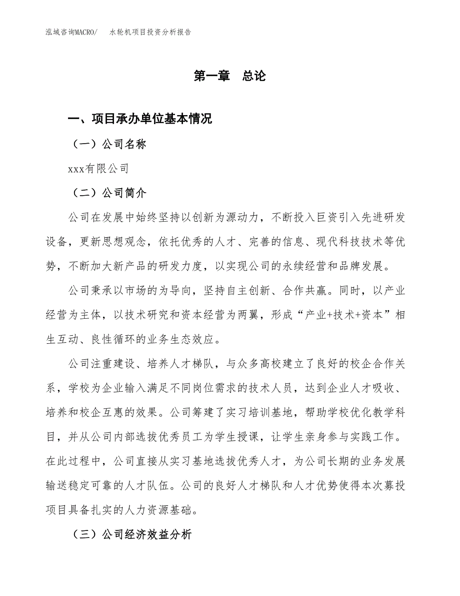 （模板）水轮机项目投资分析报告 (1)_第4页