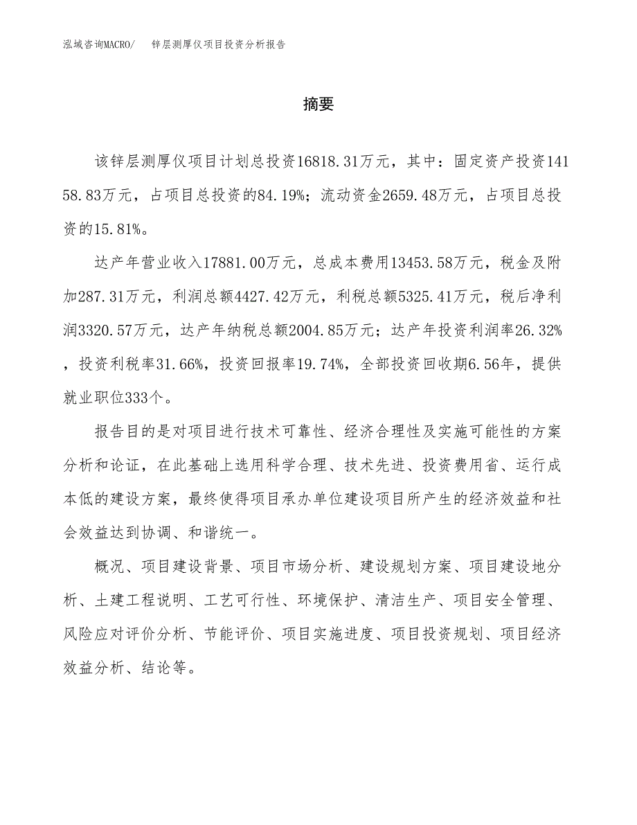 （模板）锌层测厚仪项目投资分析报告_第2页