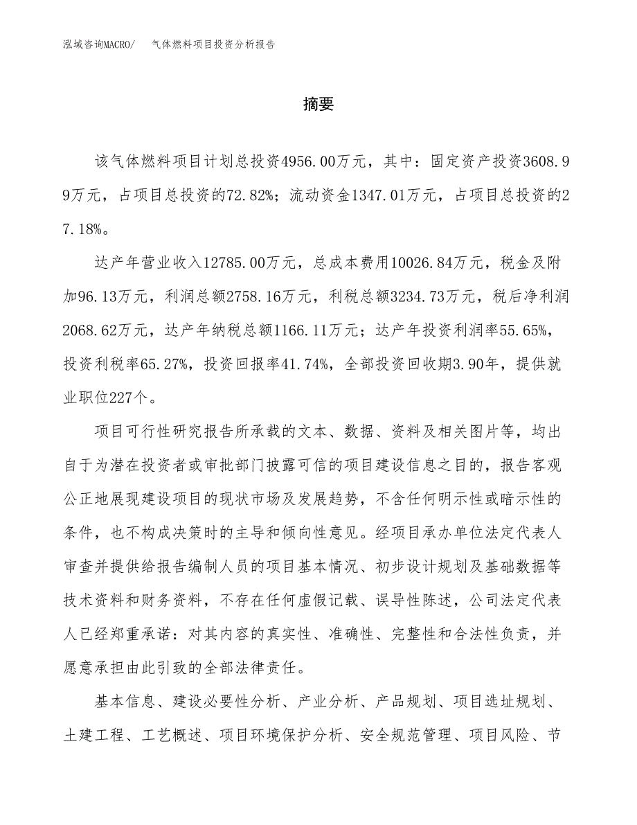 （模板）气体燃料项目投资分析报告_第2页