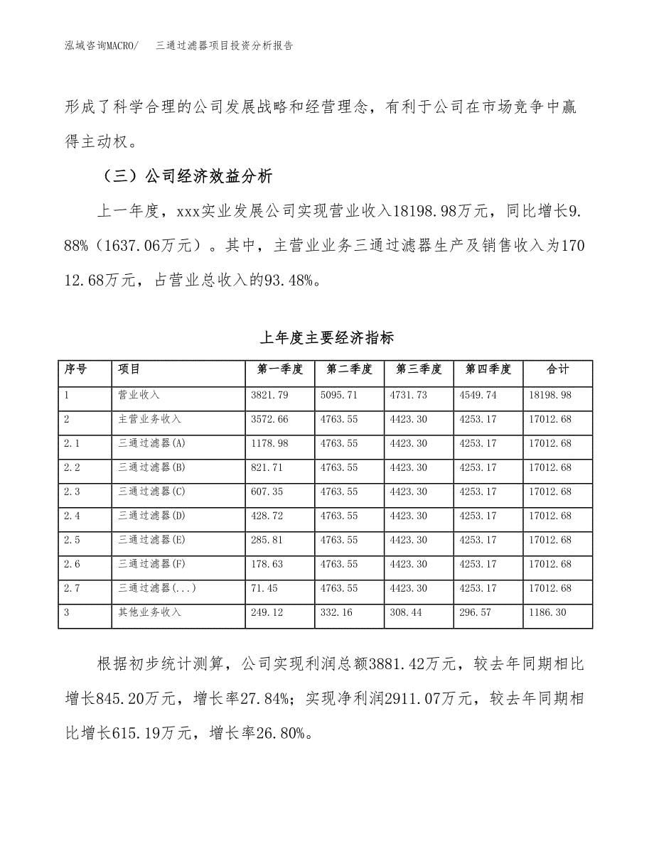 （模板）三通过滤器项目投资分析报告_第5页