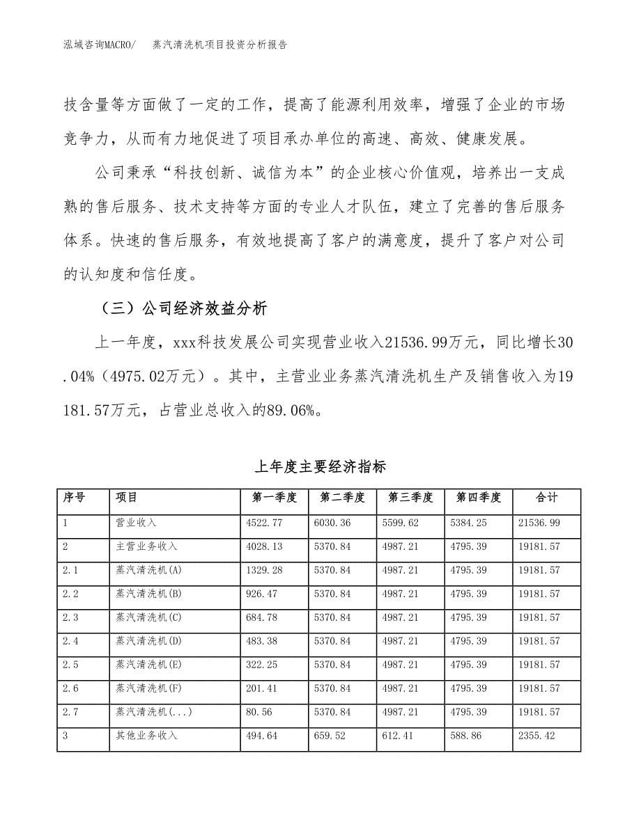 （模板）蒸汽清洗机项目投资分析报告_第5页