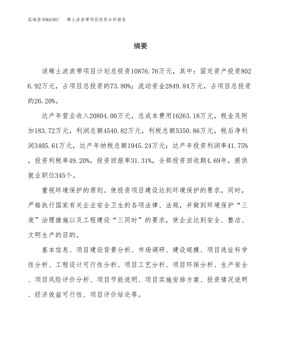 （模板）稀土波浪带项目投资分析报告_第2页