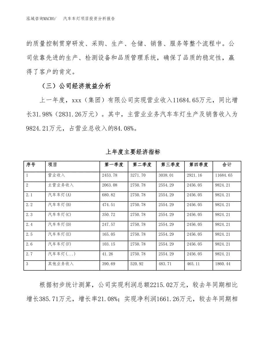 （模板）汽车车灯项目投资分析报告_第5页