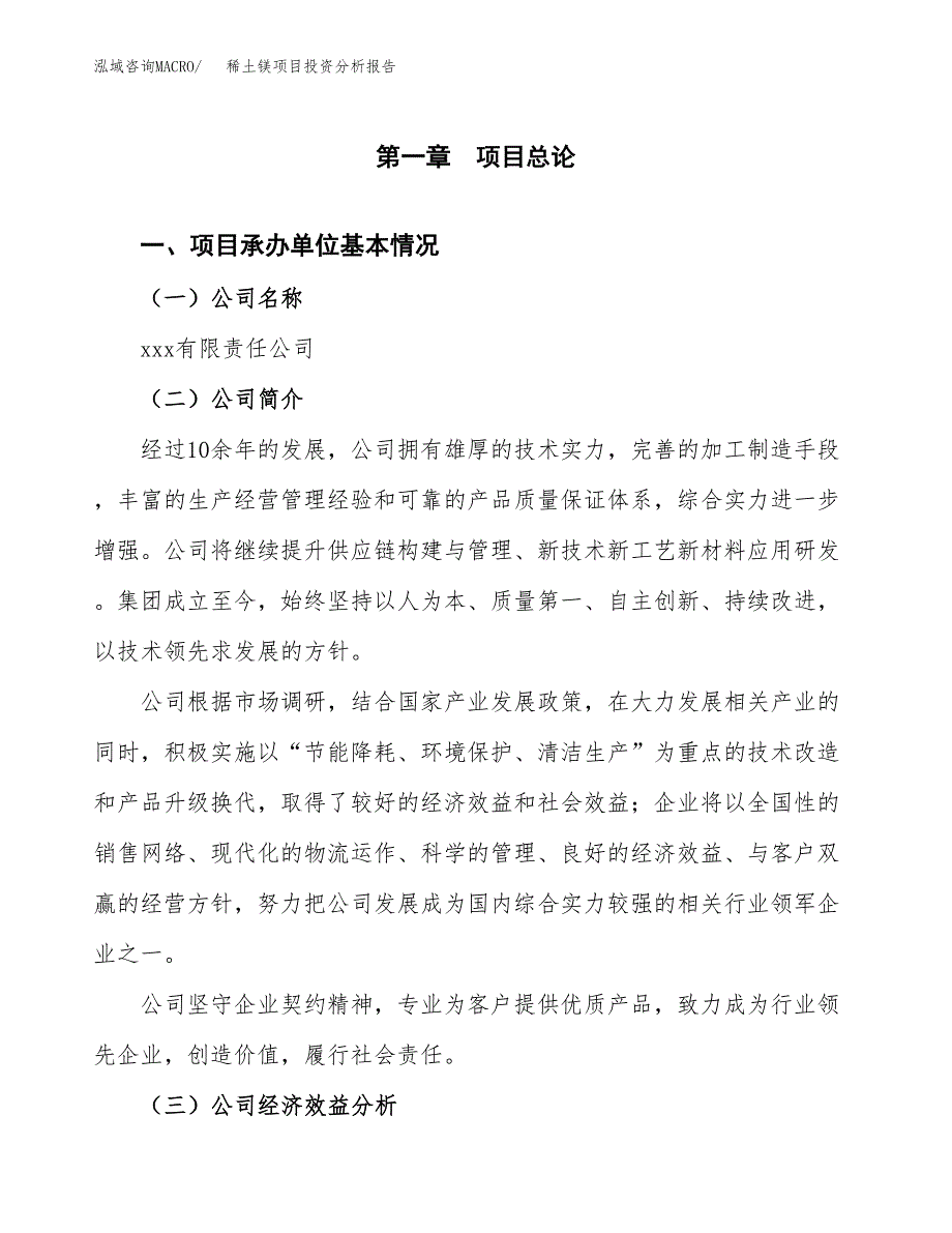 （模板）稀土镁项目投资分析报告_第4页