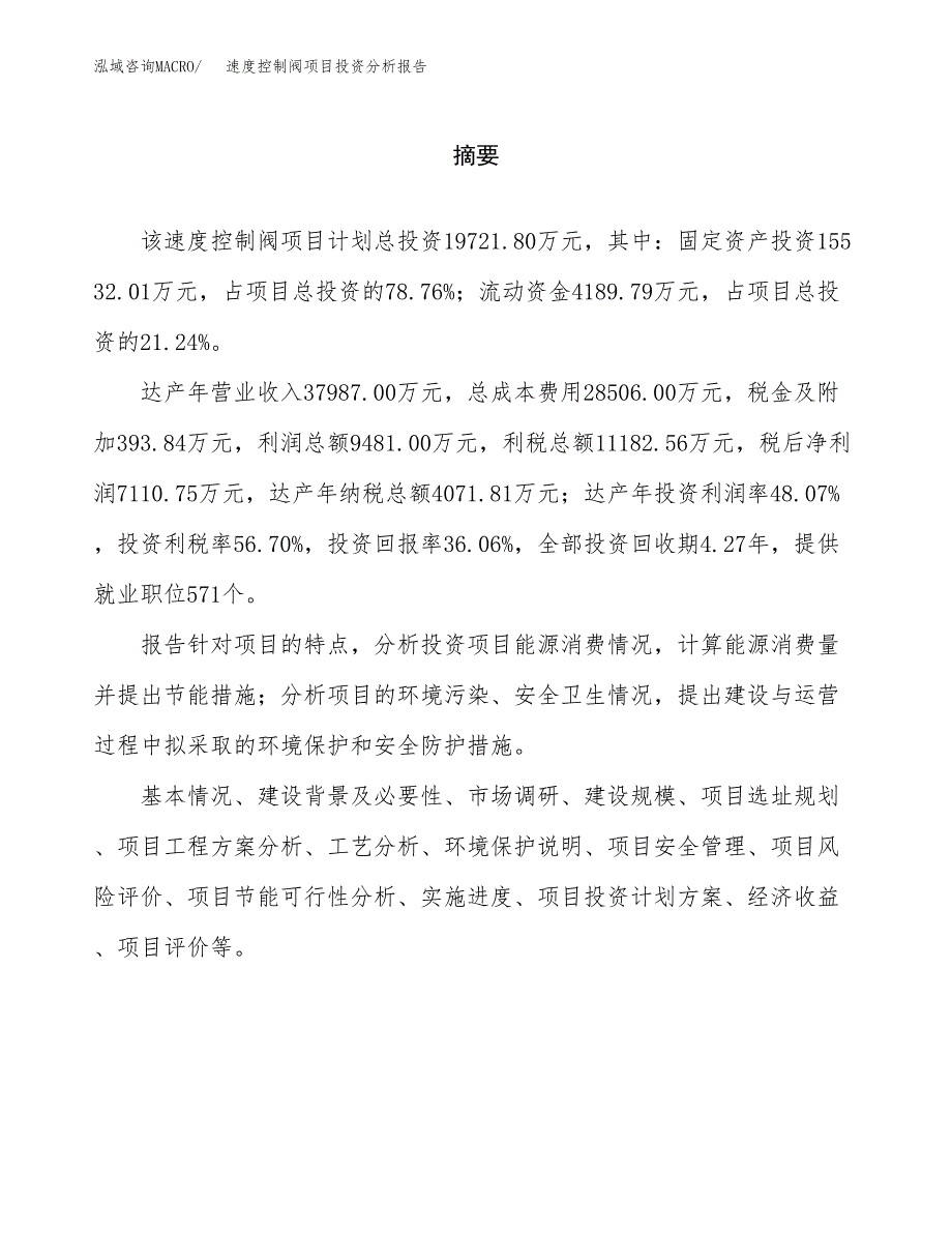 （模板）速度控制阀项目投资分析报告_第2页