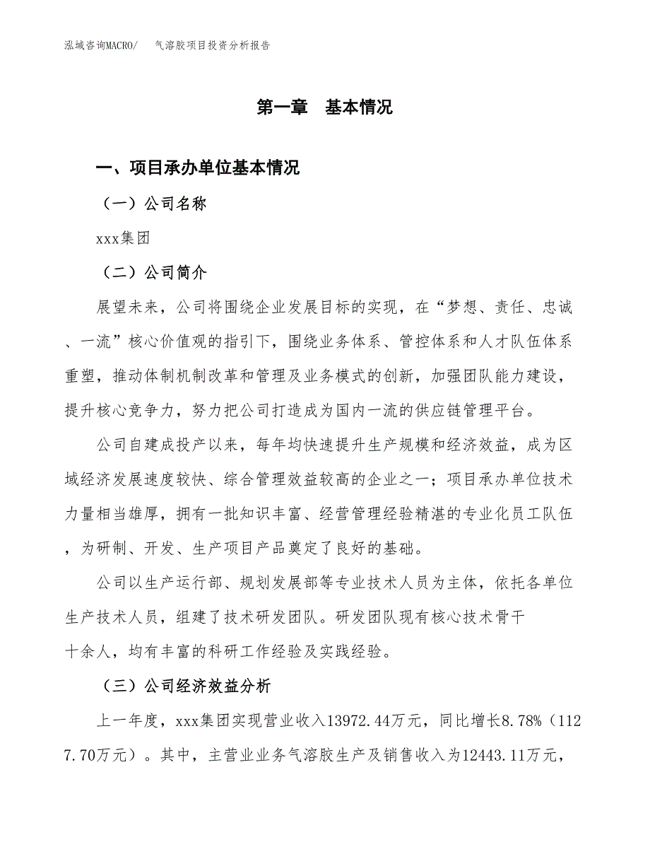 （模板）气溶胶项目投资分析报告_第4页