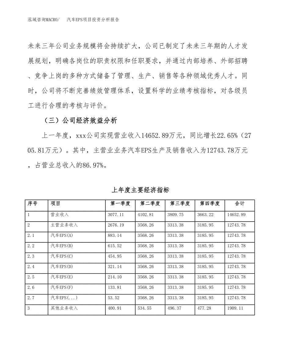 （模板）汽车EPS项目投资分析报告_第5页