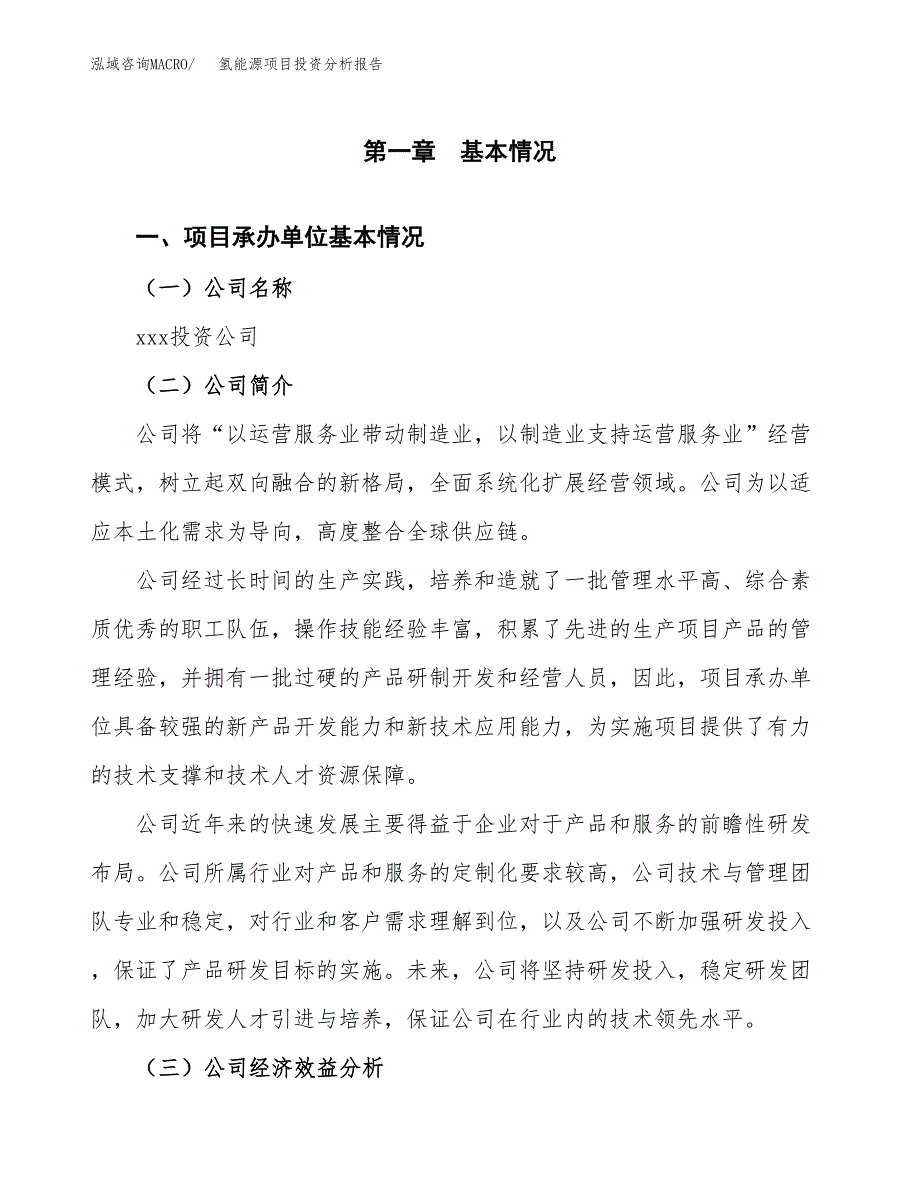 （模板）氢能源项目投资分析报告 (1)_第4页