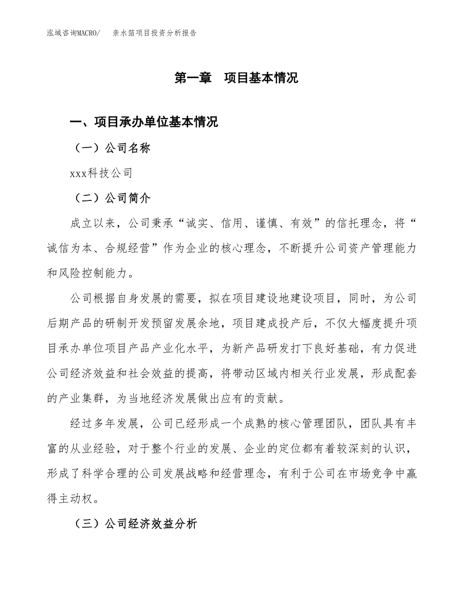 （模板）亲水箔项目投资分析报告_第4页