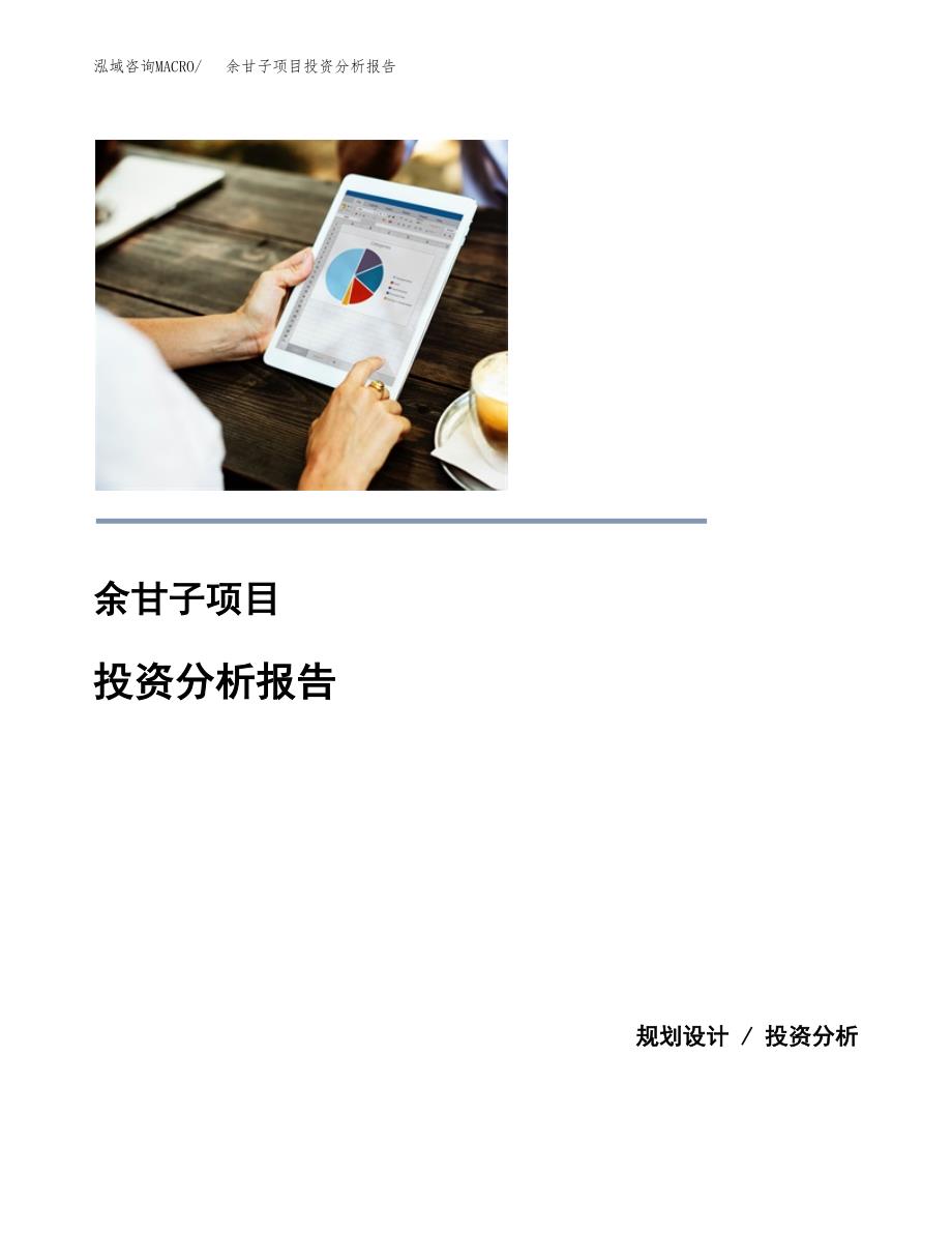 （模板）余甘子项目投资分析报告 (1)_第1页
