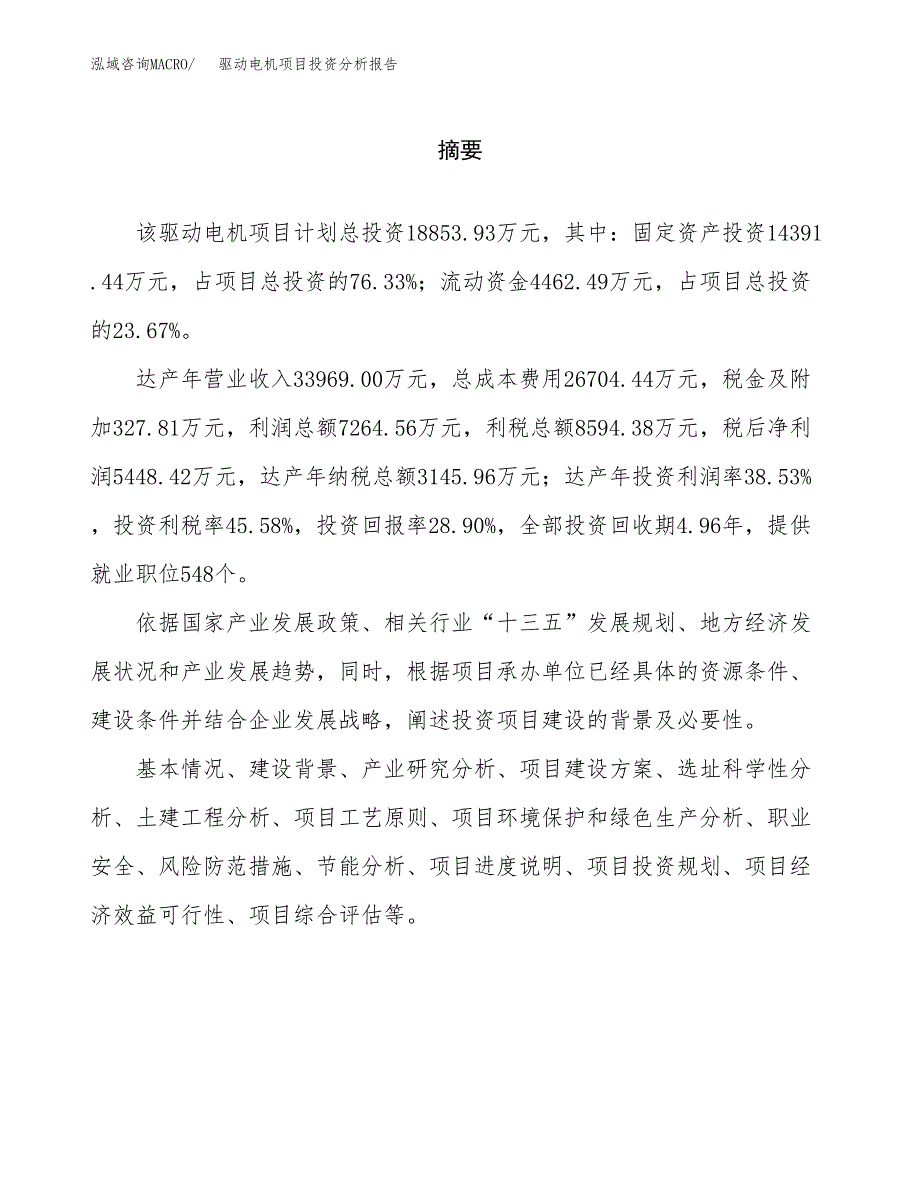 （模板）驱动电机项目投资分析报告_第2页