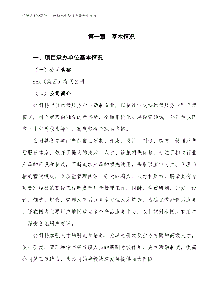 （模板）驱动电机项目投资分析报告_第4页