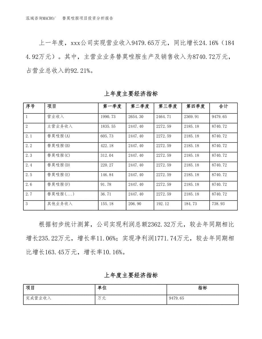 （模板）替莫唑胺项目投资分析报告_第5页