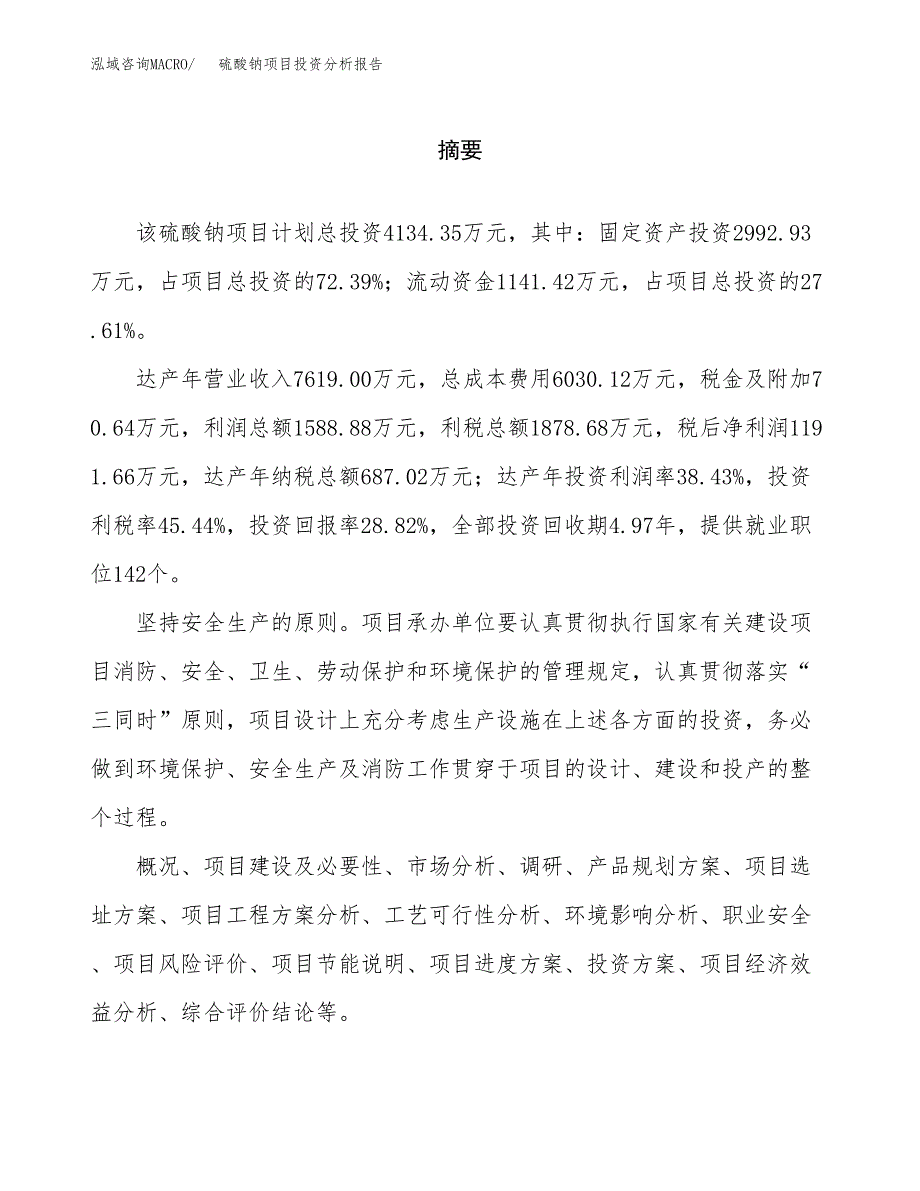 （模板）硫酸钠项目投资分析报告_第2页