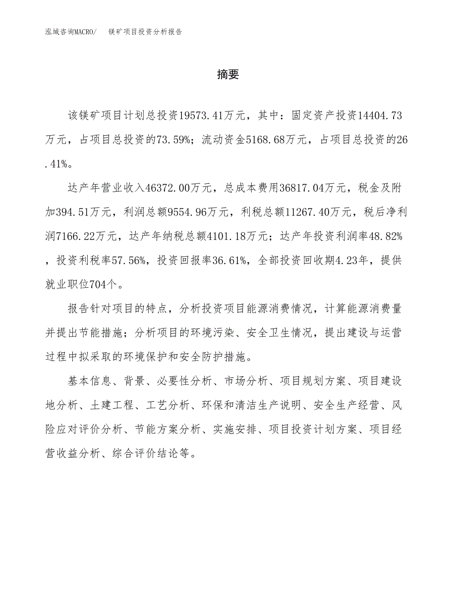 （模板）镁矿项目投资分析报告 (2)_第2页