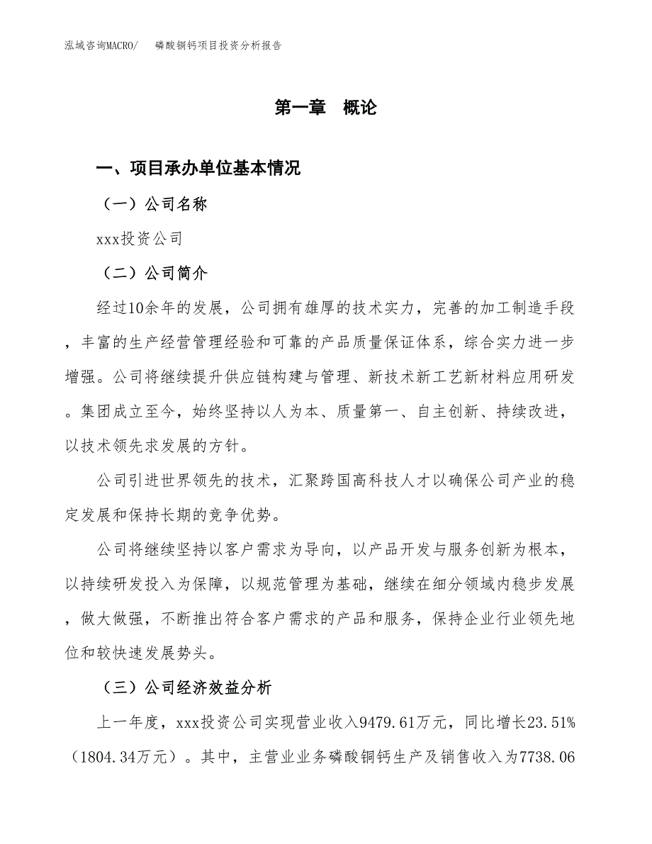 （模板）磷酸铜钙项目投资分析报告_第4页