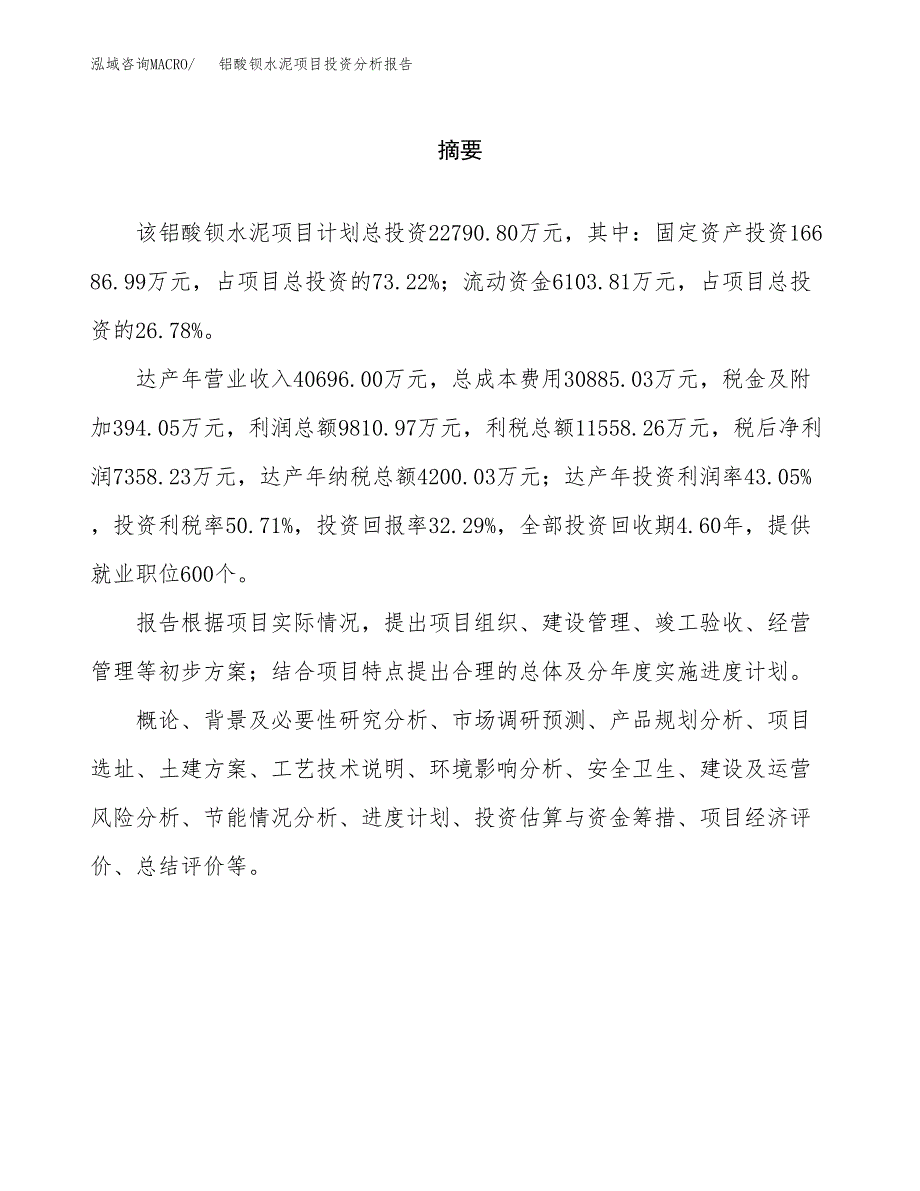 （模板）铝酸钡水泥项目投资分析报告_第2页