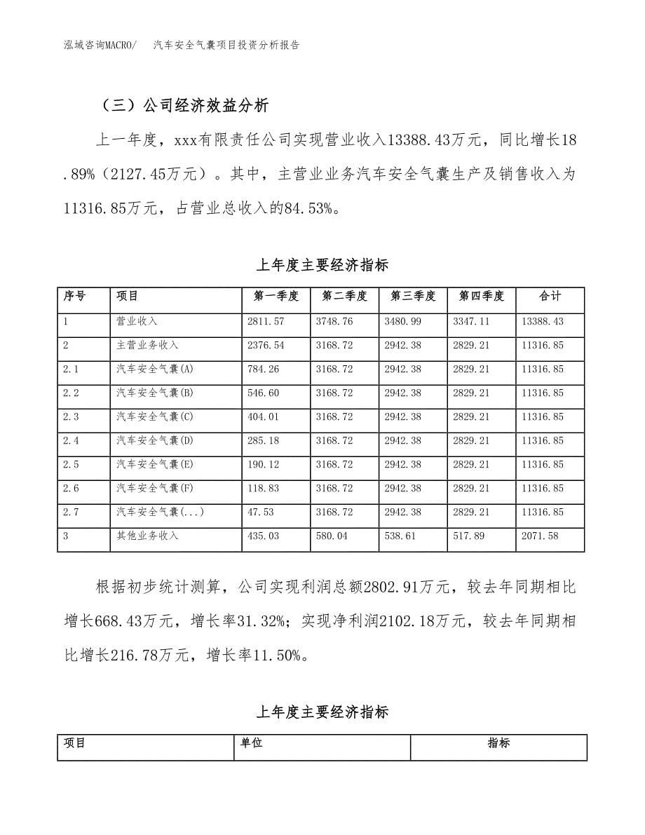 （模板）汽车安全气囊项目投资分析报告_第5页