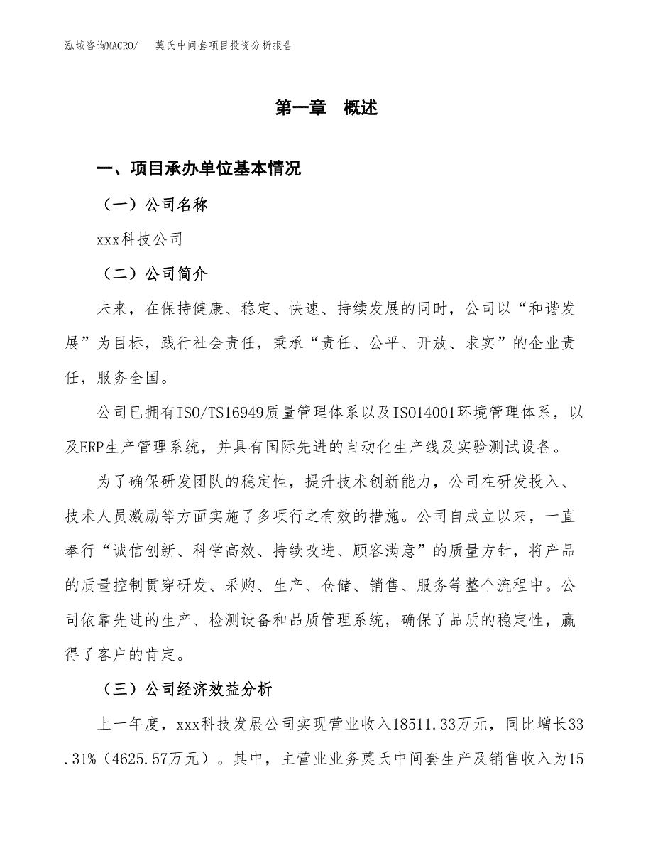 （模板）莫氏中间套项目投资分析报告_第4页