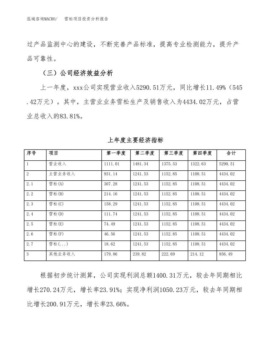 （模板）雪松项目投资分析报告_第5页