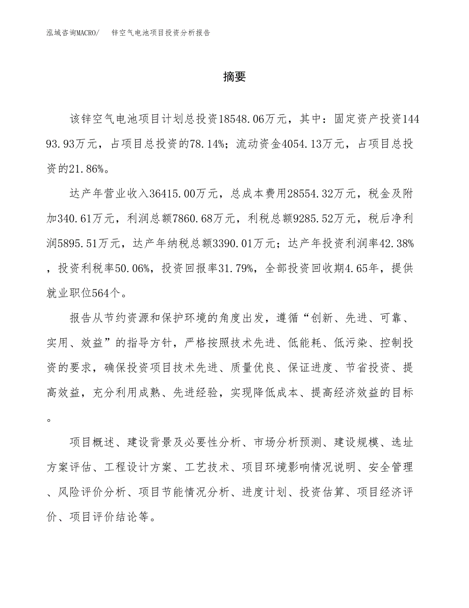 （模板）锌空气电池项目投资分析报告_第2页