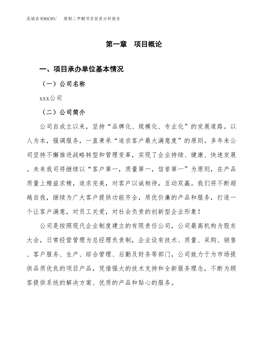 （模板）煤制二甲醚项目投资分析报告_第4页