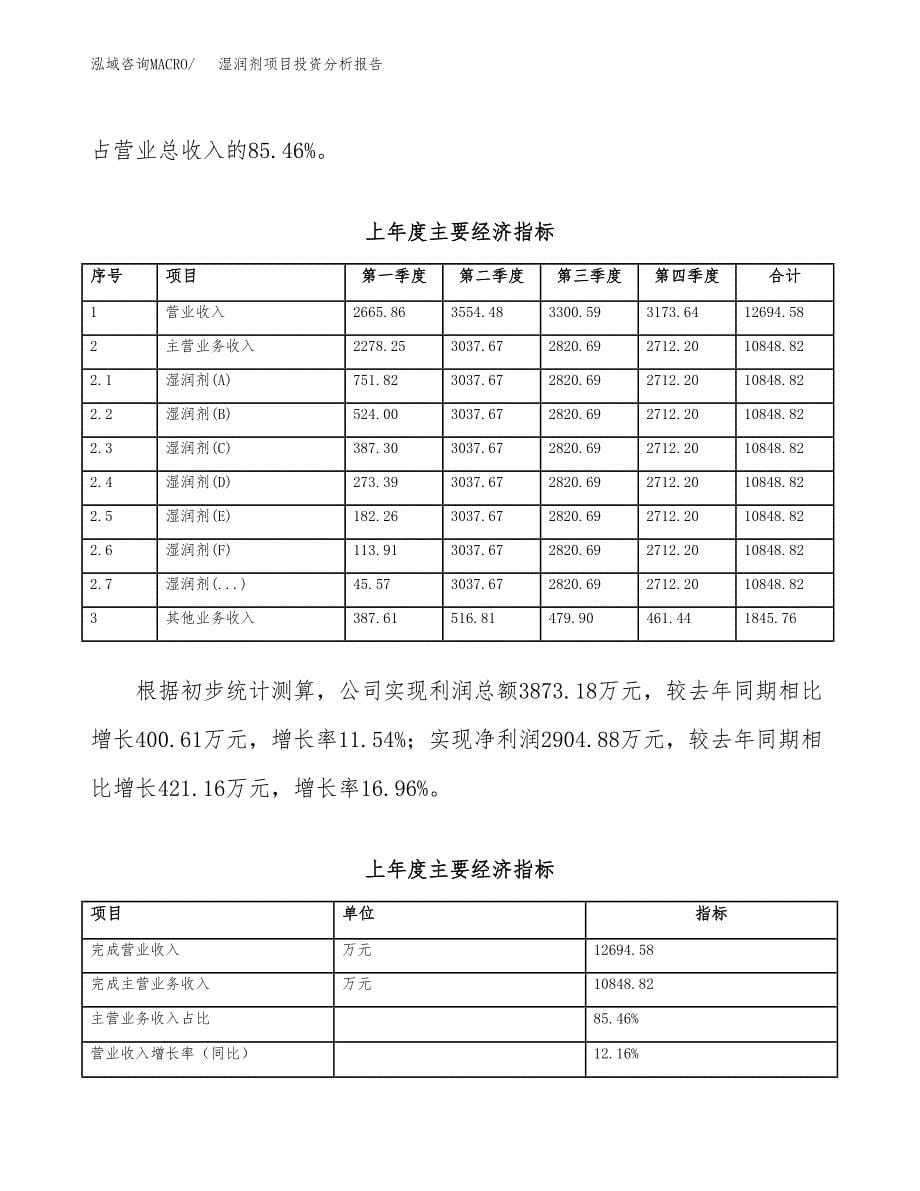 （模板）湿润剂项目投资分析报告_第5页