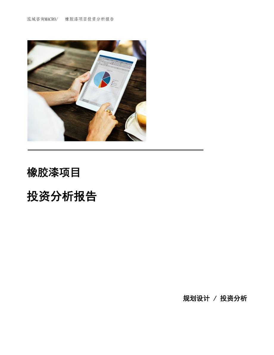 （模板）橡胶漆项目投资分析报告 (1)_第1页